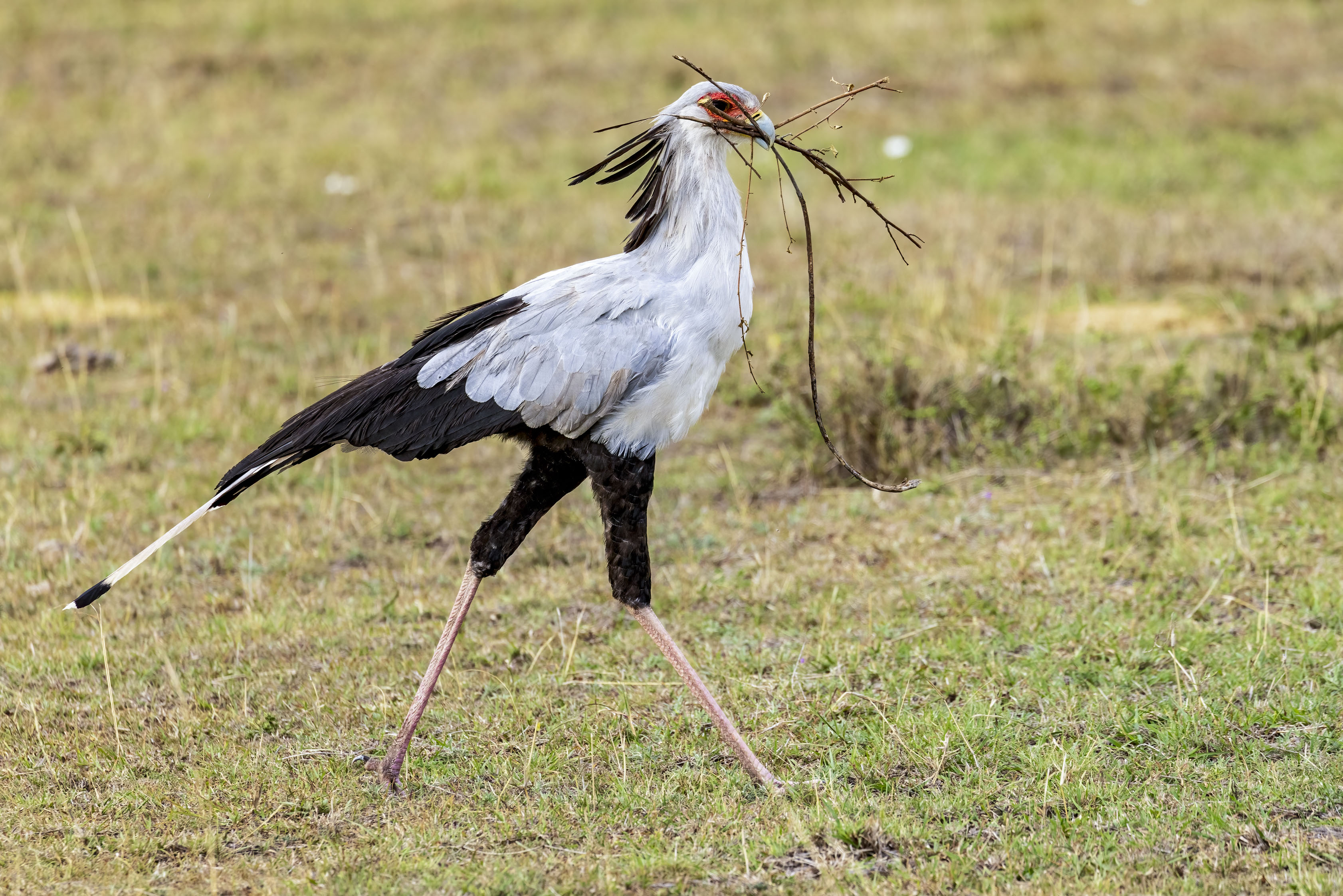 November 15, 2022-170529-8-Edit.jpg